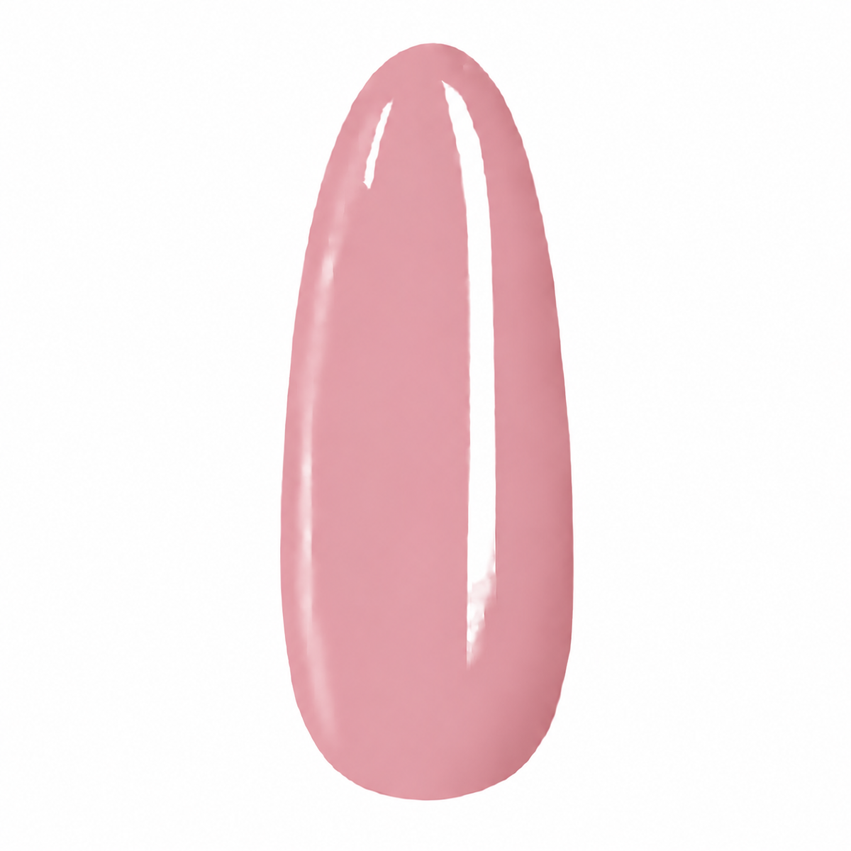 Rose Ancien