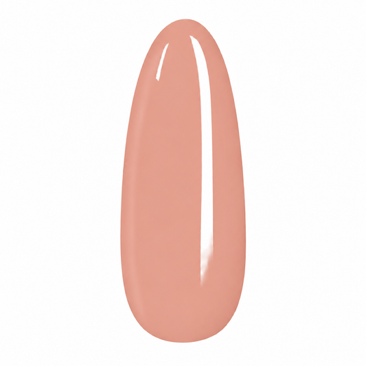Pêche Corail
